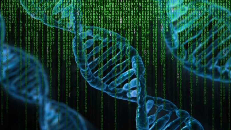 DNA דנ"א. אילוסטרציה: Pete Linforth Pixabay